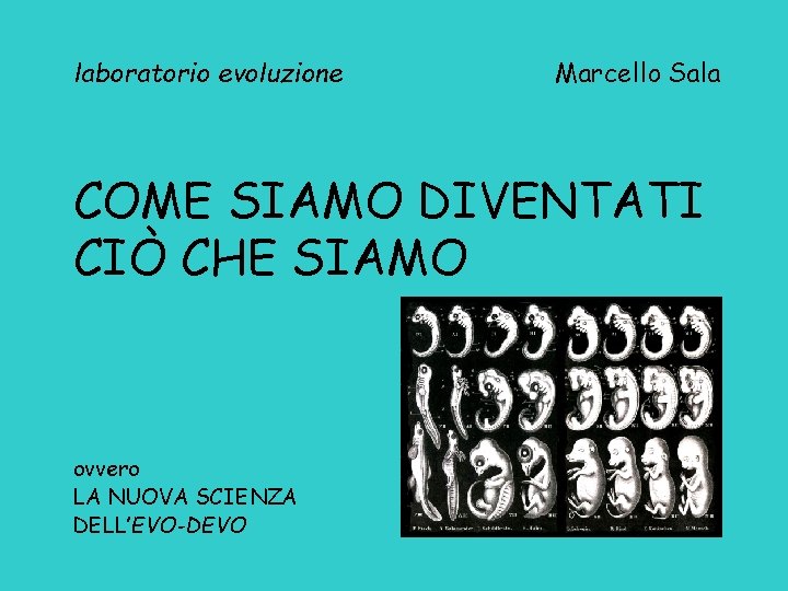 laboratorio evoluzione Marcello Sala COME SIAMO DIVENTATI CIÒ CHE SIAMO ovvero LA NUOVA SCIENZA
