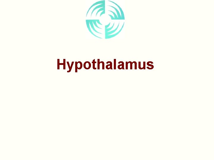 Hypothalamus 