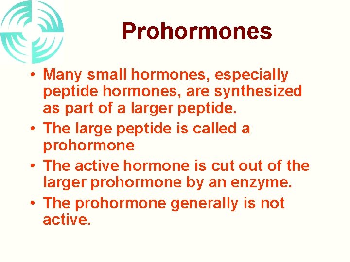 Prohormones • Many small hormones, especially peptide hormones, are synthesized as part of a