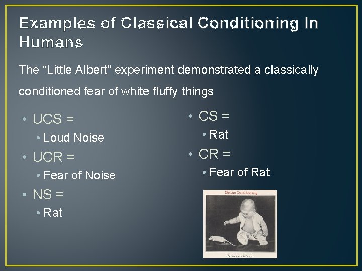 Examples of Classical Conditioning In Humans The “Little Albert” experiment demonstrated a classically conditioned