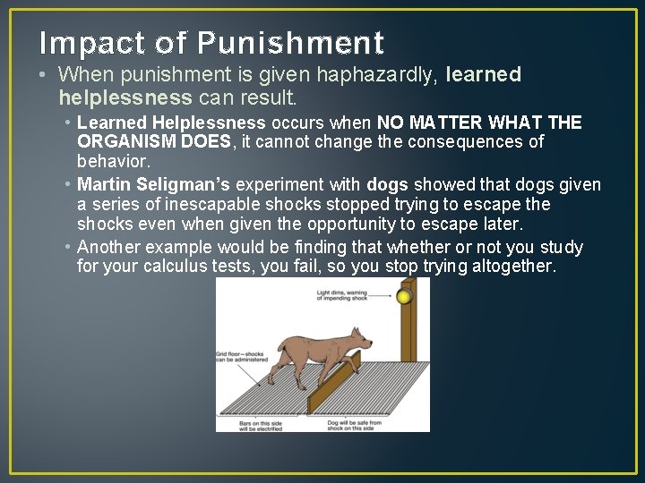 Impact of Punishment • When punishment is given haphazardly, learned helplessness can result. •