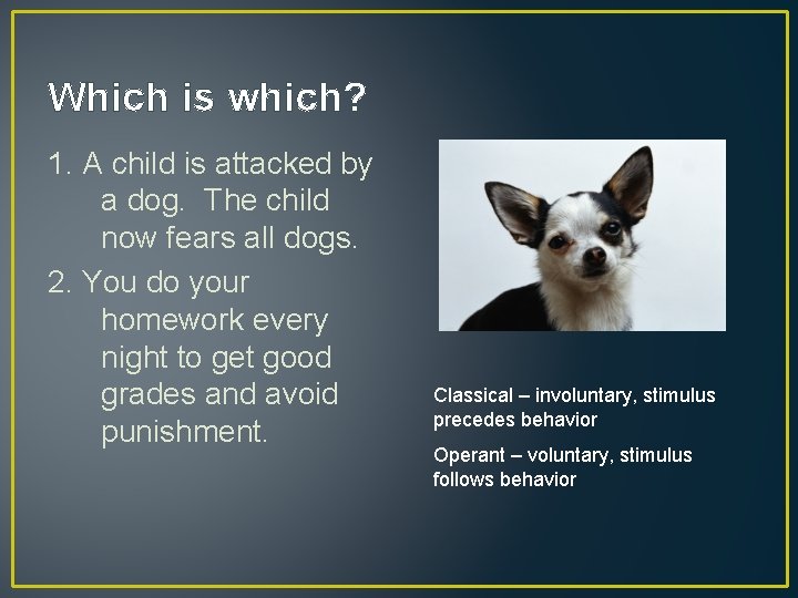 Which is which? 1. A child is attacked by a dog. The child now