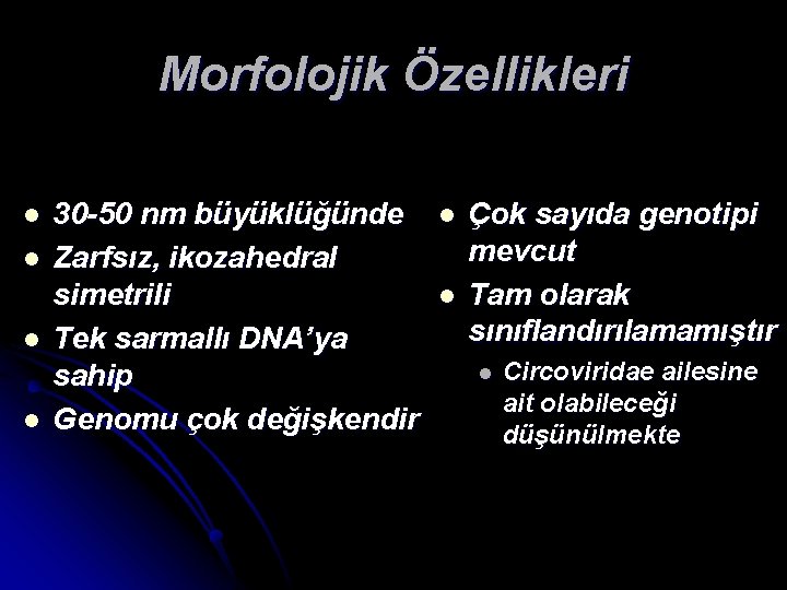 Morfolojik Özellikleri l l 30 -50 nm büyüklüğünde Zarfsız, ikozahedral simetrili Tek sarmallı DNA’ya