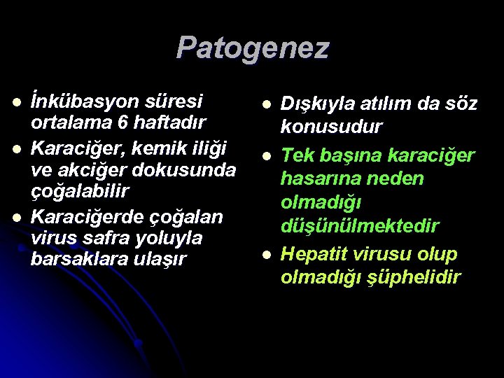 Patogenez l l l İnkübasyon süresi ortalama 6 haftadır Karaciğer, kemik iliği ve akciğer