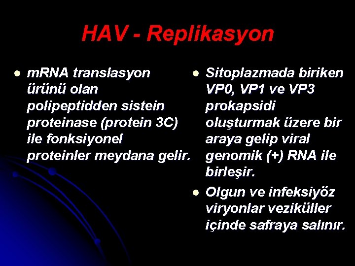 HAV - Replikasyon l m. RNA translasyon l ürünü olan polipeptidden sistein proteinase (protein