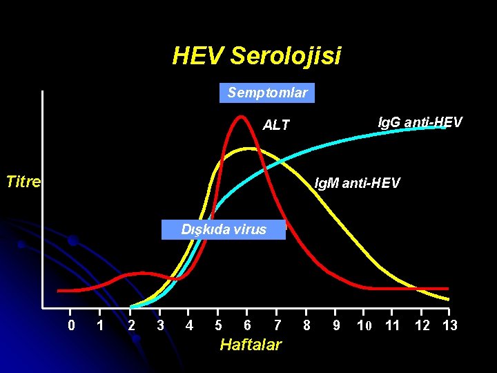 HEV Serolojisi Semptomlar Ig. G anti-HEV ALT Titre Ig. M anti-HEV Dışkıda virus 0