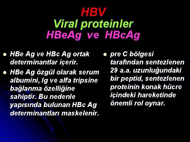 HBV Viral proteinler HBe. Ag ve HBc. Ag l l HBe Ag ve HBc