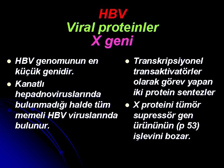 HBV Viral proteinler X geni l l HBV genomunun en küçük genidir. Kanatlı hepadnoviruslarında