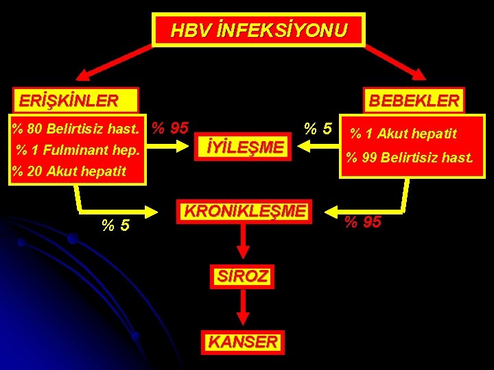 HBV İNFEKSİYONU BEBEKLER ERİŞKİNLER % 80 Belirtisiz hast. % 1 Fulminant hep. % 95