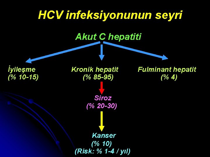 HCV infeksiyonunun seyri Akut C hepatiti İyileşme (% 10 -15) Kronik hepatit (% 85