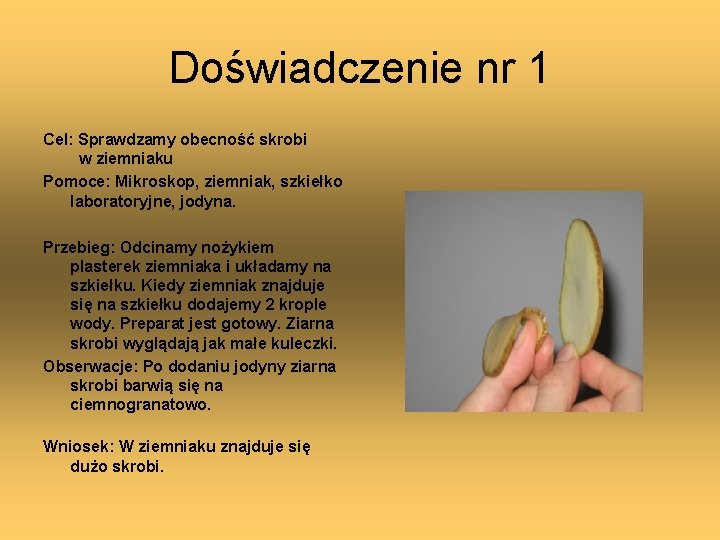 Doświadczenie nr 1 Cel: Sprawdzamy obecność skrobi w ziemniaku Pomoce: Mikroskop, ziemniak, szkiełko laboratoryjne,