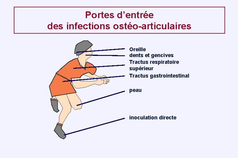 Portes d’entrée des infections ostéo-articulaires Oreille dents et gencives Tractus respiratoire supérieur Tractus gastrointestinal