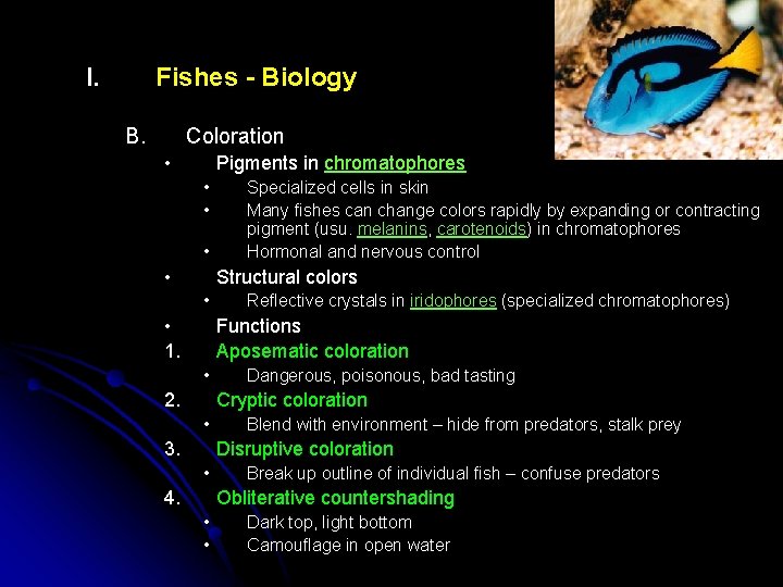 I. Fishes - Biology B. Coloration • Pigments in chromatophores • • Specialized cells