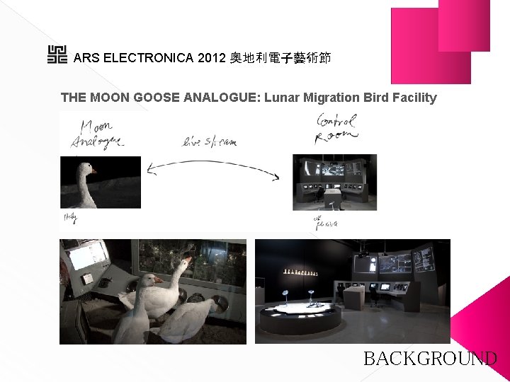 ARS ELECTRONICA 2012 奧地利電子藝術節 THE MOON GOOSE ANALOGUE: Lunar Migration Bird Facility BACKGROUND 