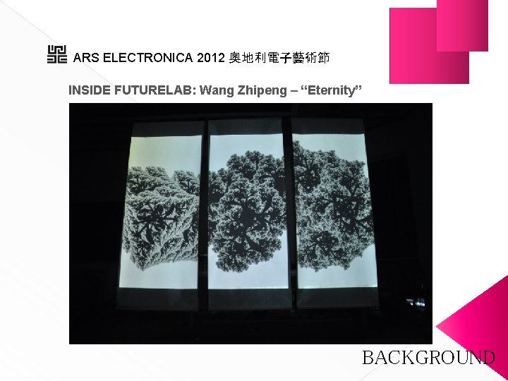 ARS ELECTRONICA 2012 奧地利電子藝術節 INSIDE FUTURELAB: Wang Zhipeng – “Eternity” BACKGROUND 