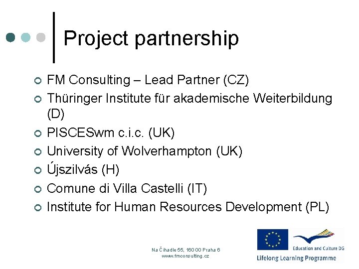 Project partnership ¢ ¢ ¢ ¢ FM Consulting – Lead Partner (CZ) Thüringer Institute