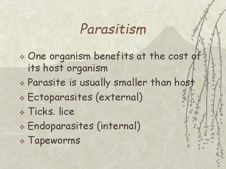 Parasitism One organism benefits at the cost of its host organism v Parasite is