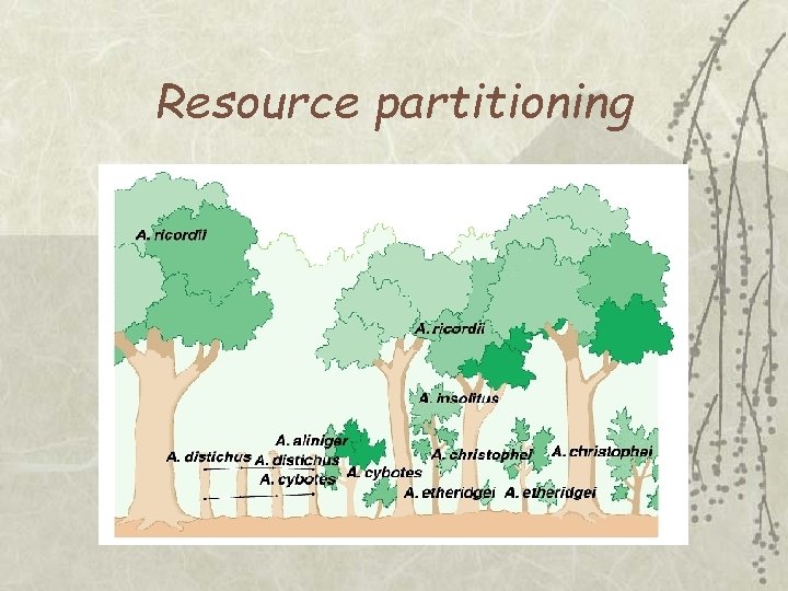 Resource partitioning 