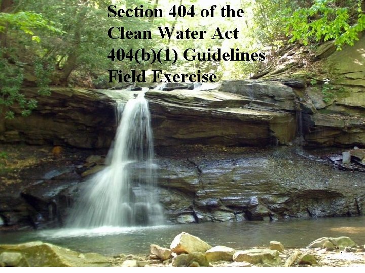 Section 404 of the Clean Water Act 404(b)(1) Guidelines Field Exercise 1 
