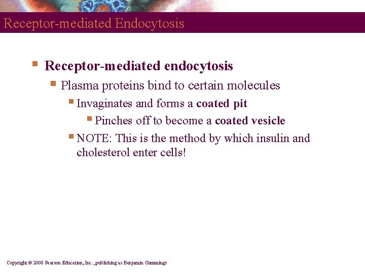 Receptor-mediated Endocytosis § Receptor-mediated endocytosis § Plasma proteins bind to certain molecules § Invaginates