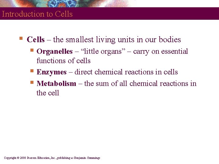 Introduction to Cells § Cells – the smallest living units in our bodies §