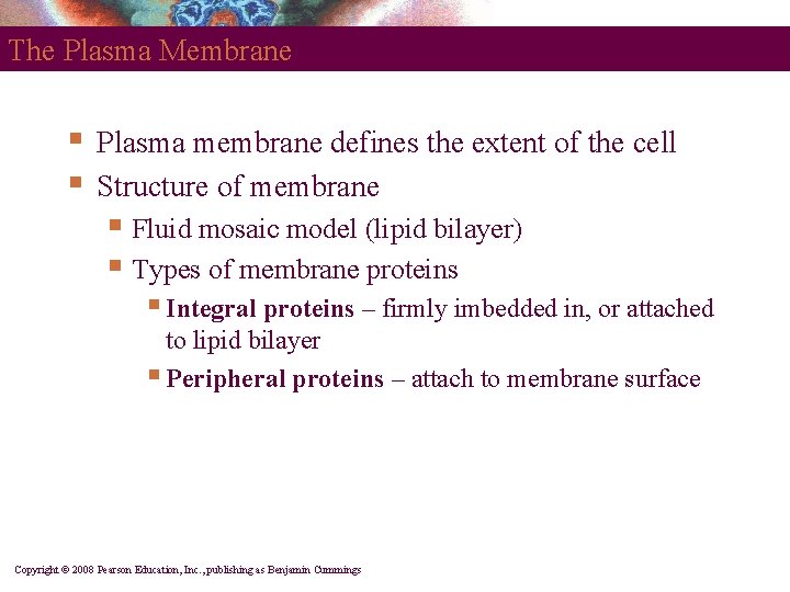 The Plasma Membrane § § Plasma membrane defines the extent of the cell Structure