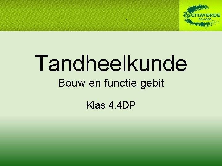 Tandheelkunde Bouw en functie gebit Klas 4. 4 DP 