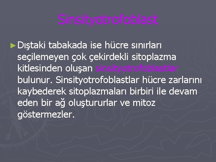 Sinsityotrofoblast ► Dıştaki tabakada ise hücre sınırları seçilemeyen çok çekirdekli sitoplazma kitlesinden oluşan sinsityotrofoblastlar