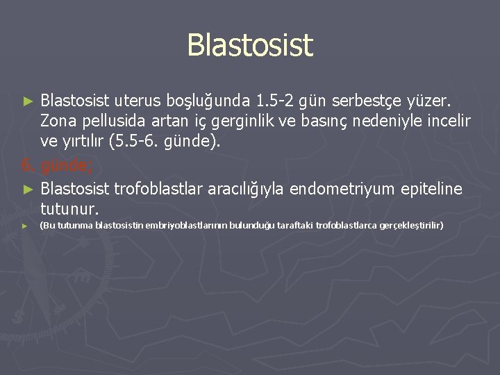 Blastosist uterus boşluğunda 1. 5 -2 gün serbestçe yüzer. Zona pellusida artan iç gerginlik