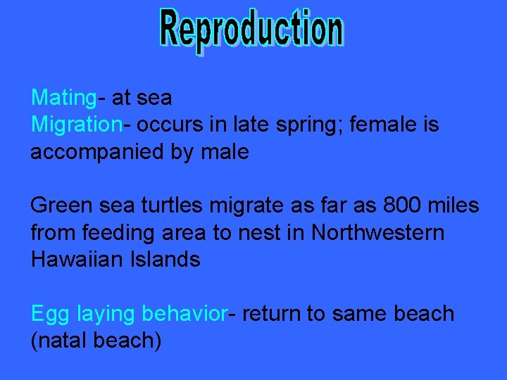 Mating- at sea Migration- occurs in late spring; female is accompanied by male Green