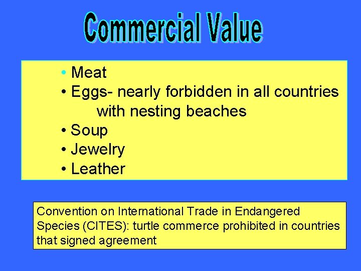  • Meat • Eggs- nearly forbidden in all countries with nesting beaches •