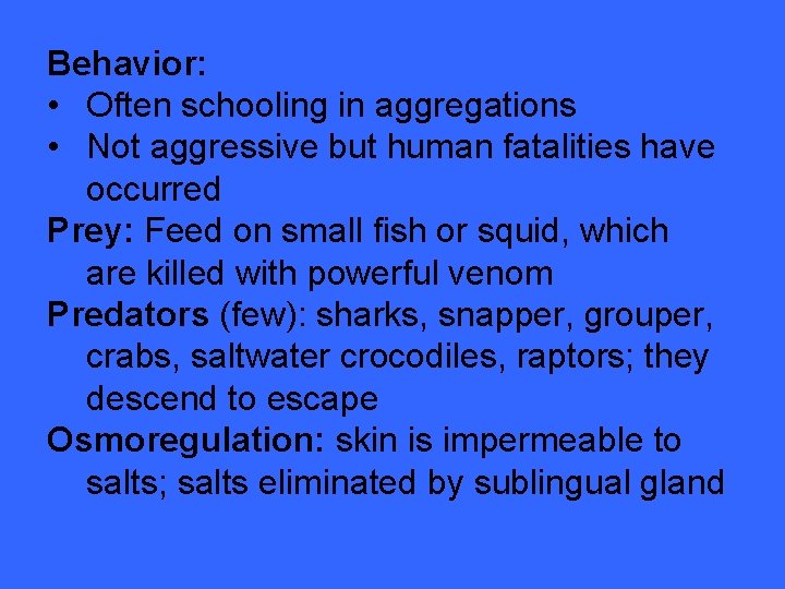 Behavior: • Often schooling in aggregations • Not aggressive but human fatalities have occurred