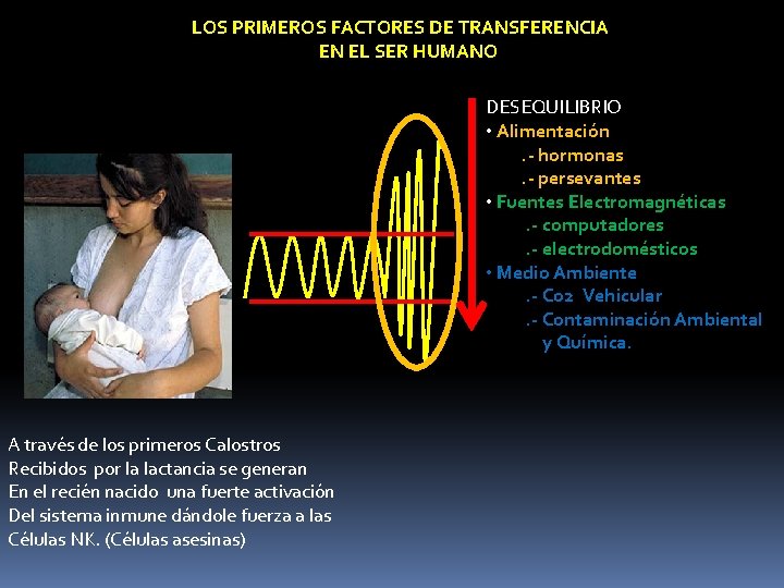 LOS PRIMEROS FACTORES DE TRANSFERENCIA EN EL SER HUMANO DESEQUILIBRIO • Alimentación. - hormonas.