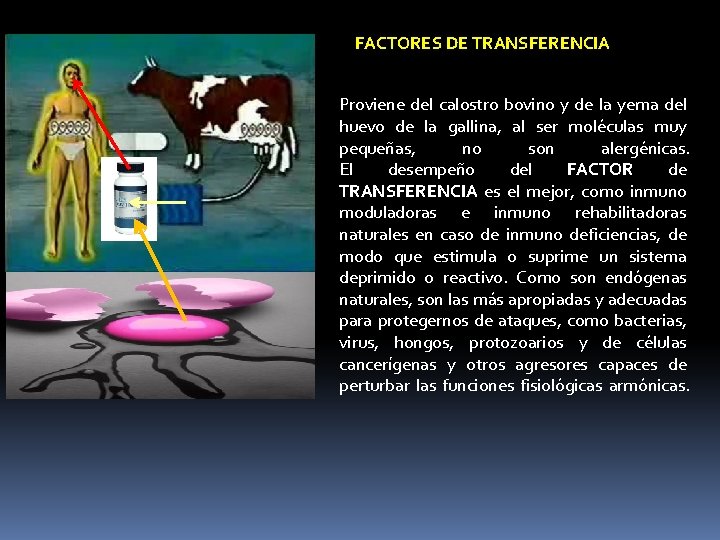 FACTORES DE TRANSFERENCIA Proviene del calostro bovino y de la yema del huevo de