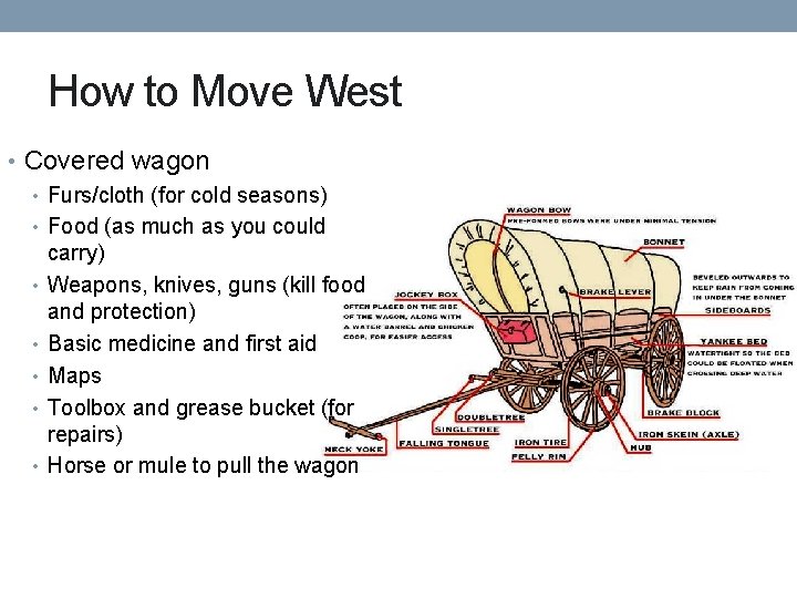 How to Move West • Covered wagon • Furs/cloth (for cold seasons) • Food