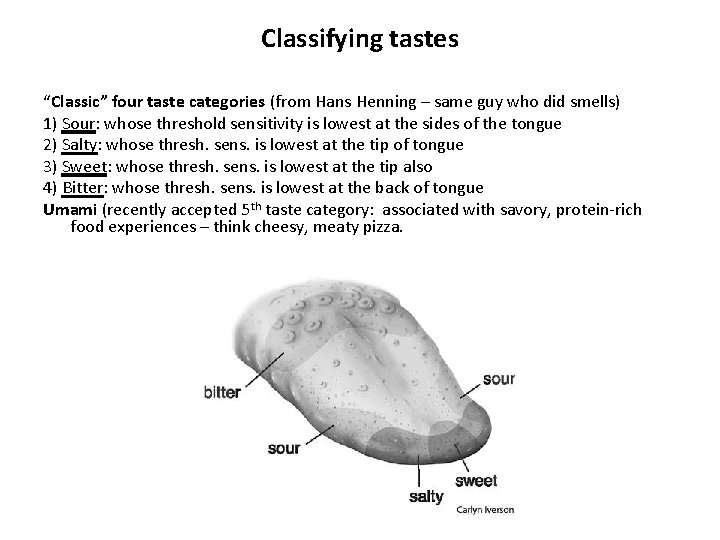 Classifying tastes “Classic” four taste categories (from Hans Henning – same guy who did