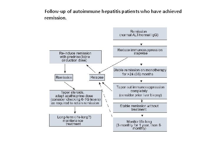 Follow-up of autoimmune hepatitis patients who have achieved remission. 