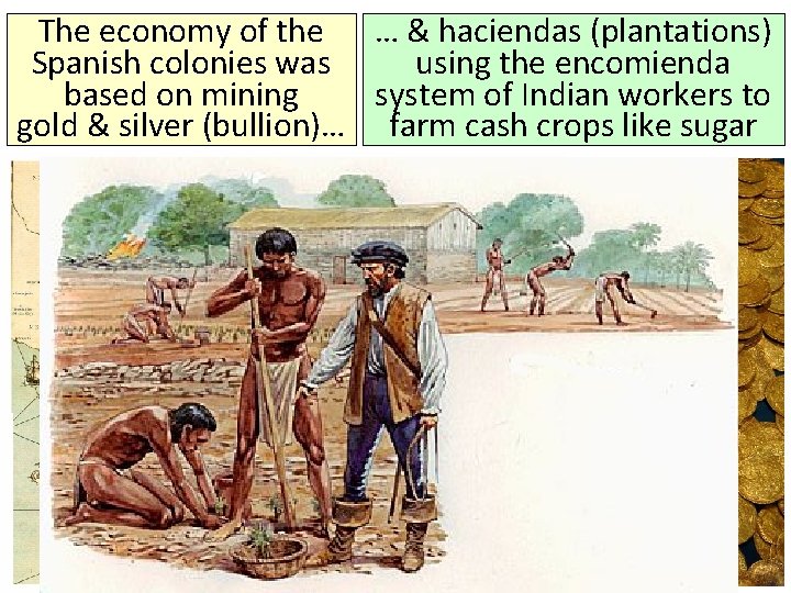 The economy of the … & haciendas (plantations) Spanish colonies was using the encomienda
