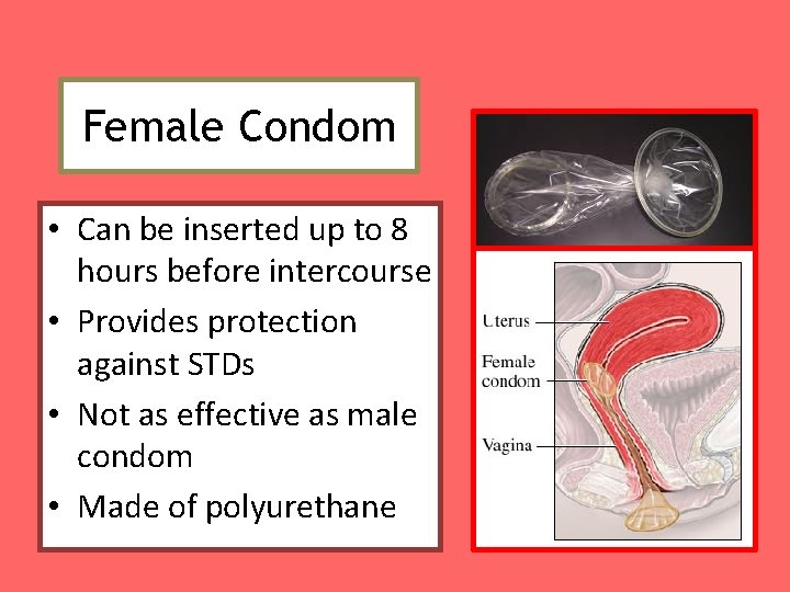 Female Condom • Can be inserted up to 8 hours before intercourse • Provides