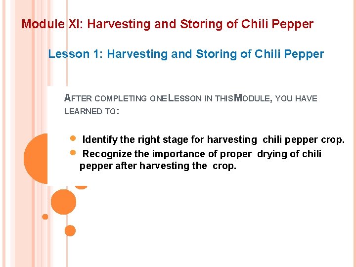 Module XI: Harvesting and Storing of Chili Pepper Lesson 1: Harvesting and Storing of