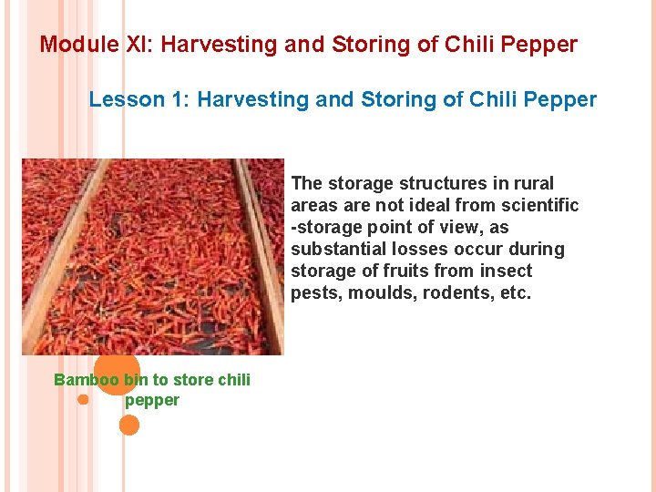 Module XI: Harvesting and Storing of Chili Pepper Lesson 1: Harvesting and Storing of