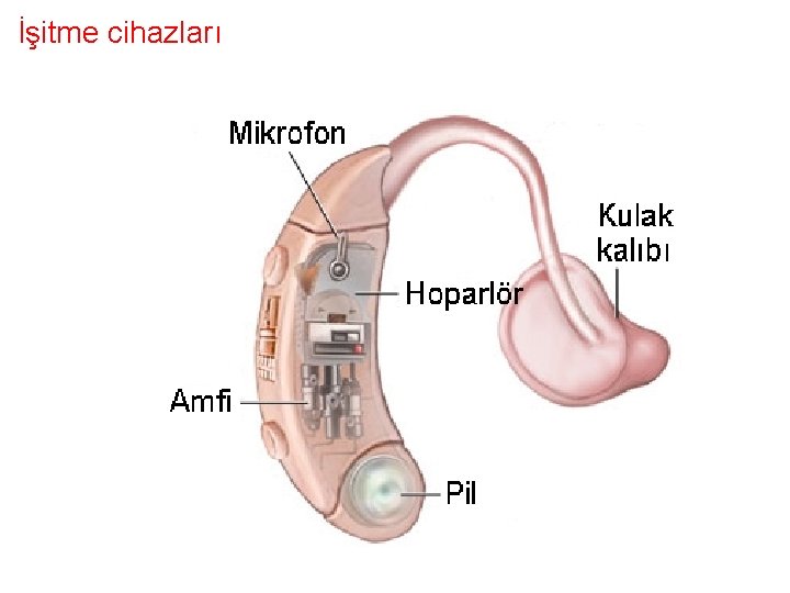 İşitme cihazları 