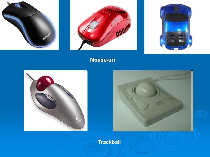 Mouse-uri Trackball 
