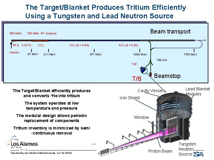 The Target/Blanket Produces Tritium Efficiently Using a Tungsten and Lead Neutron Source 350 MHz