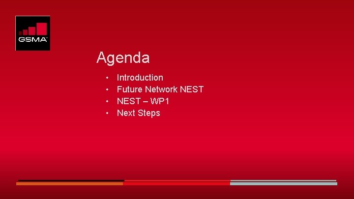 Agenda • • Introduction Future Network NEST – WP 1 Next Steps Agenda • • Introduction Future Network NEST – WP 1 Next Steps