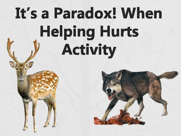 It’s a Paradox! When Helping Hurts Activity 