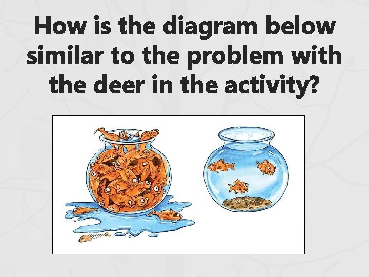 How is the diagram below similar to the problem with the deer in the