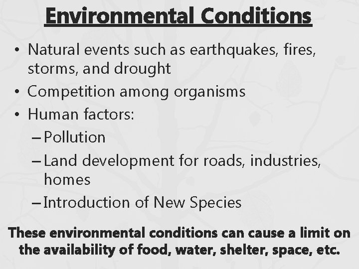 Environmental Conditions • Natural events such as earthquakes, fires, storms, and drought • Competition