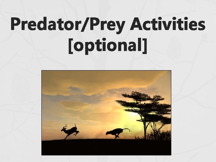 Predator/Prey Activities [optional] 