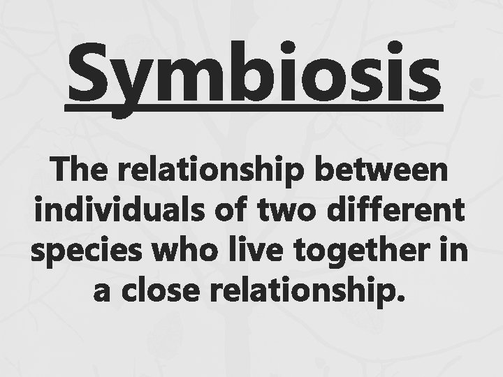 Symbiosis The relationship between individuals of two different species who live together in a